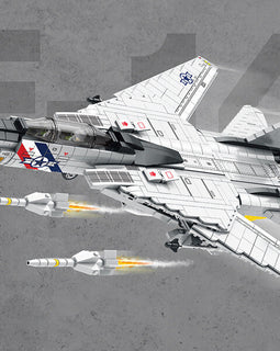 F-14 Tomcat - Legendary Series - Mil-Blox